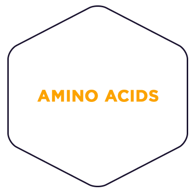 https://cdn.shopify.com/s/files/1/0248/5570/7682/files/nutr-amino
